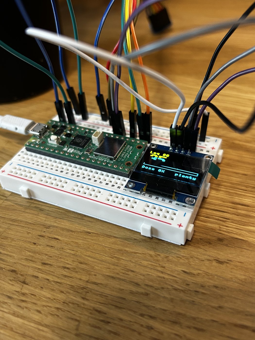 Raspberry Pi Pico 2 W on a breadboard with an OLED screen showing the session Leq, the dose percentage and time remaining